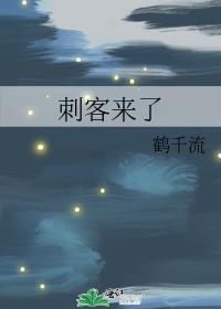 刺客来袭皇后贵妃
